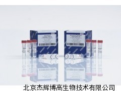 Qiagen QIAamp DNA Blood Mini Kit（51185）—— 北京杰辉博高生物技术专业供应与服务